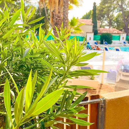 Spacieux T3 Dans Avec Piscine Lägenhet *